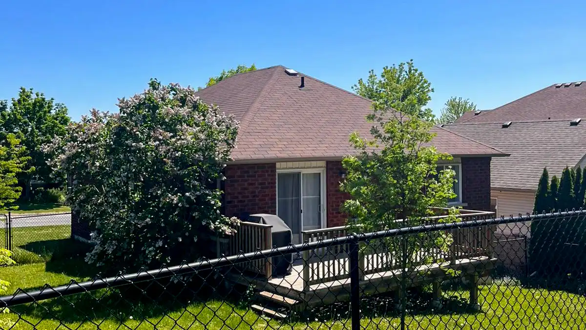 Completed asphalt shingle roof viewed from the rear yard with spring lilac in bloom, Peterborough area