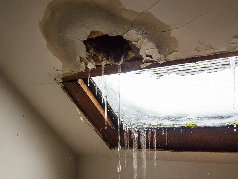 Roof Leaks